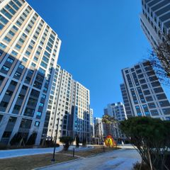 펠릭스 임대인의 프로필 이미지