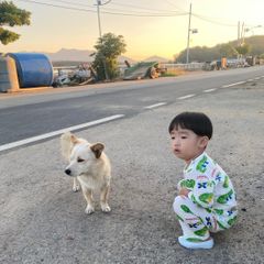 해피데이 임대인의 프로필 이미지