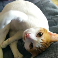 김경애 Landlord's Profile Image
