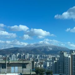 최정인 임대인의 프로필 이미지