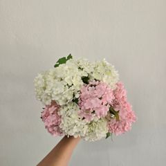 깡이하우스 임대인의 프로필 이미지