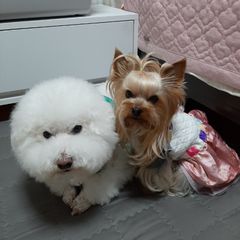 김미영 임대인의 프로필 이미지