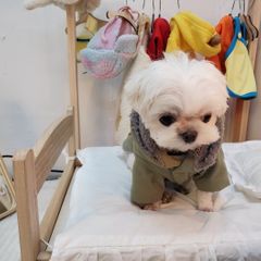 신희수 임대인의 프로필 이미지