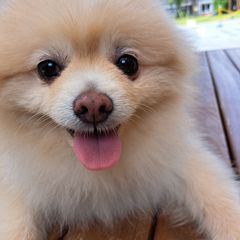 이해경 Landlord's Profile Image