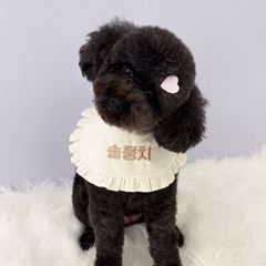 권혁천 임대인의 프로필 이미지