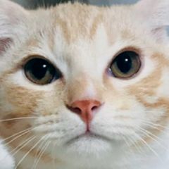 권라현 임대인의 프로필 이미지