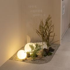 디디링 임대인의 프로필 이미지