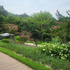 이미경 임대인의 프로필 이미지