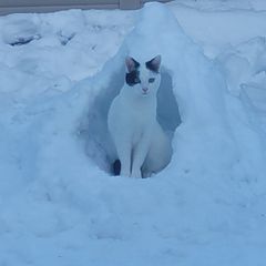 강미선  임대인의 프로필 이미지