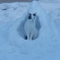 강미선 Landlord's Profile Image