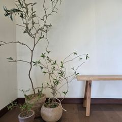 yoon-J Landlord's Profile Image