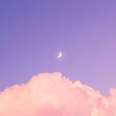 Cozy 매니저 임대인의 프로필 이미지