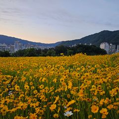 연두해요 Landlord's Profile Image