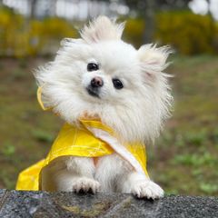 리안이 임대인의 프로필 이미지