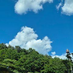 진이 임대인의 프로필 이미지