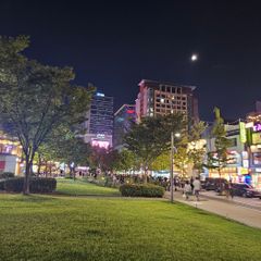 모모 임대인의 프로필 이미지