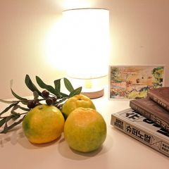 스프링업 Landlord's Profile Image