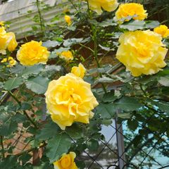 송종경 임대인의 프로필 이미지