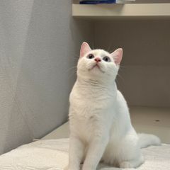 권세진 임대인의 프로필 이미지
