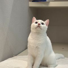 권세진 Landlord's Profile Image