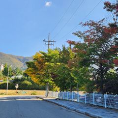 김정화 임대인의 프로필 이미지