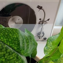 배윤희 Landlord's Profile Image