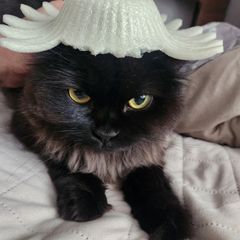 λ°μΈμ€ Landlord's Profile Image
