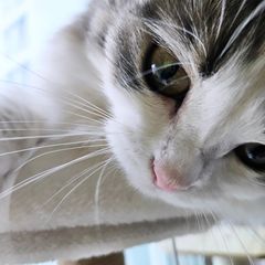 Roy 임대인의 프로필 이미지