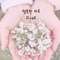 Angel  Studio 임대인의 프로필 이미지