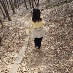 핑크스완 Landlord's Profile Image