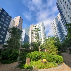 김정미 임대인의 프로필 이미지