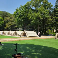 Morning Calm Stay 임대인의 프로필 이미지