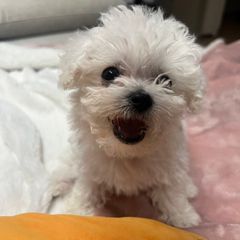 블랑블랑 스테이 Landlord's Profile Image