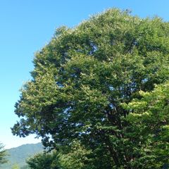 차은실 임대인의 프로필 이미지