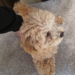 연하우스:) Landlord's Profile Image