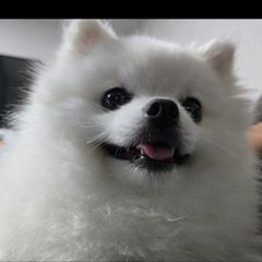 정진영 임대인의 프로필 이미지