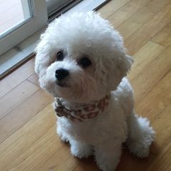 L-cozy house Landlord's Profile Image