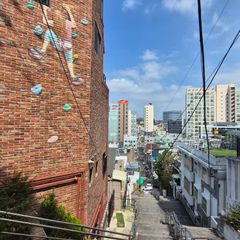표대수 임대인의 프로필 이미지