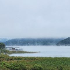 김원영 임대인의 프로필 이미지