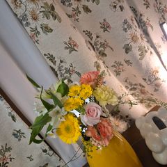 황민희 Landlord's Profile Image