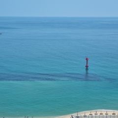 최우정 임대인의 프로필 이미지