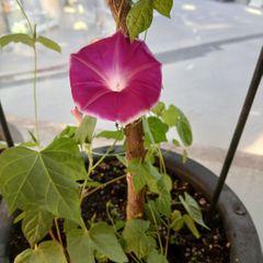 이광자 임대인의 프로필 이미지