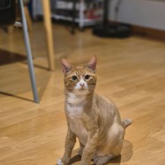 양정근 임대인의 프로필 이미지