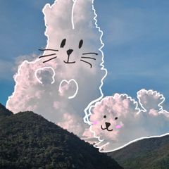 이니 임대인의 프로필 이미지
