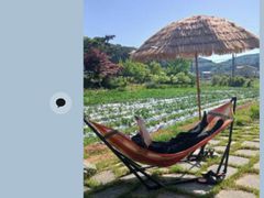 옥토스테이 (단독) 14번째 이미지