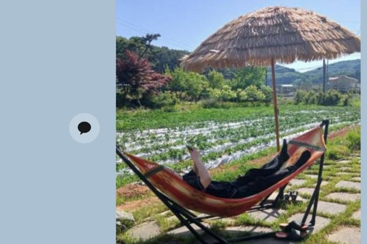 옥토스테이 (단독) 14번째 이미지