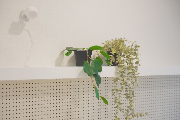 먼슬리브 마곡 블레스룸