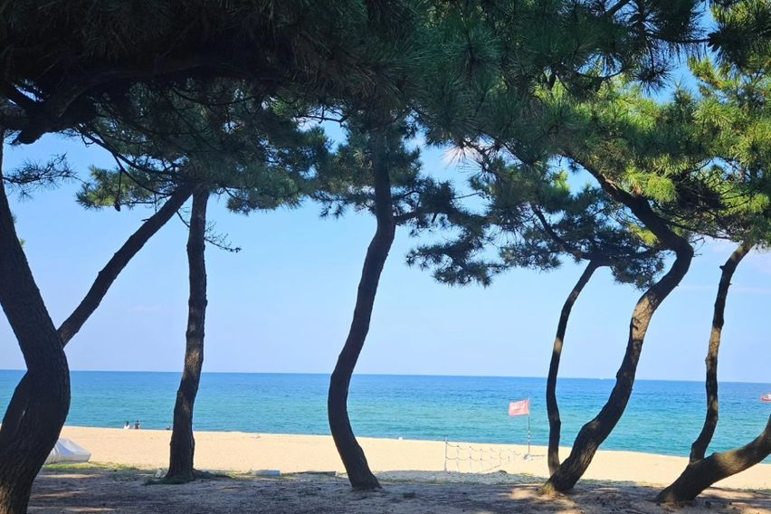 대관령 노을이 아름다운