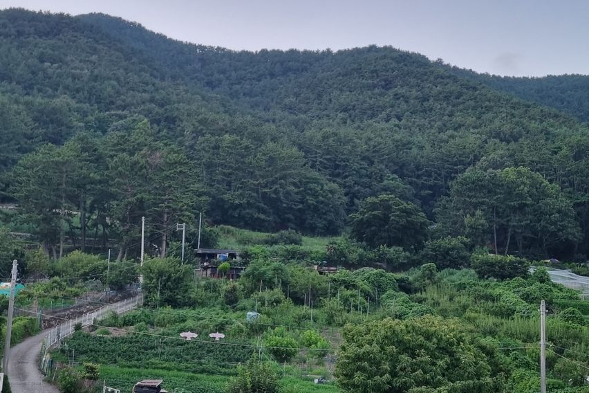 통영진우원룸 A호