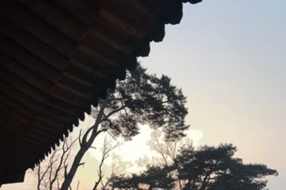 모니카방이에요1